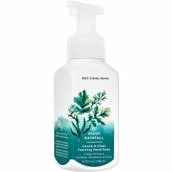 Buy 🧨 Bath & Body Works Fresh Rainfall Gentle & Clean Foaming Soap 🤩