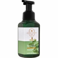 Outlet ✔️ Bath & Body Works Aromatherapy Eucalyptus Spearmint Gentle & Clean Foaming Soap 💯