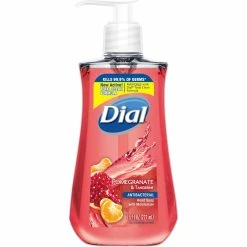 Budget 🔔 Dial Liquid Pomegranate And Tangerine Hand Soap 😀