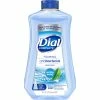 Wholesale 🛒 Dial Complete Anti-Bacterial Spring Water Foaming Hand Wash Refill ❤️