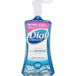 Budget 🔔 Dial Complete Springwater Foaming Hand Wash 😀