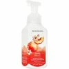 Discount ✨ Bath & Body Works Peach Bellini Gentle And Clean Foaming Soap ⭐